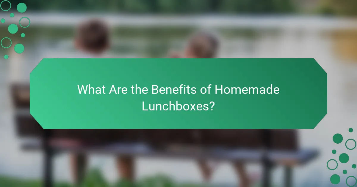 What Are the Benefits of Homemade Lunchboxes?